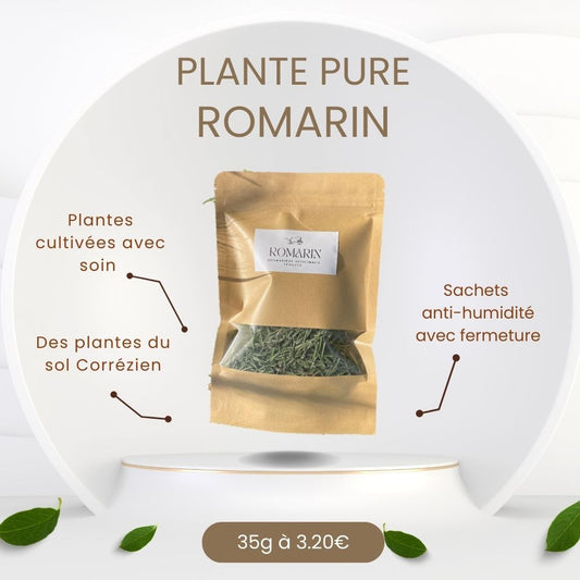 ROMARIN - PLANTE PURE